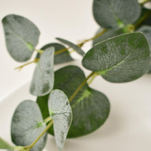 Load image into Gallery viewer, Natural Cleaner & Disinfectant Sprays - Peppermint + Eucalyptus + Tea Tree