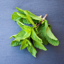 Load image into Gallery viewer, Salt Hand Scrub - Soothing Citrus